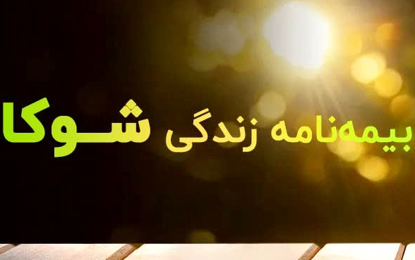 تشریح جزئیات طرح بیمه زندگی شوکا/حق بیمه مسئولیت و حق عضویت نظام پرستاری رایگان متقاضیان